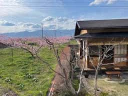 茶房あらい