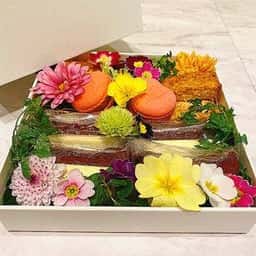 ブルーストッキングカフェ