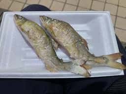 大口水産 ヤキヤキコーナー