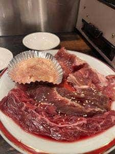 光牛