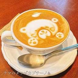 ドロゲリア サンクリッカ