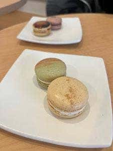 Maccalooseよこすか