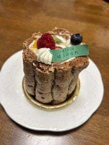 はるのはれ