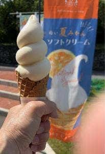 柚子屋本店