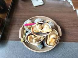 加太淡嶋温泉 大坂屋 ひいなの湯