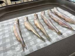 カネダイ大野商店