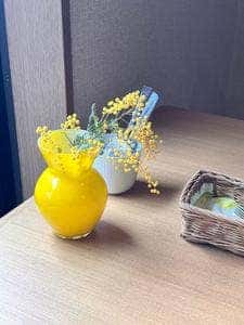 クッチーナ・サクラ