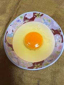 桑原鶏卵
