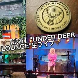 UNDER DEER LOUNGE