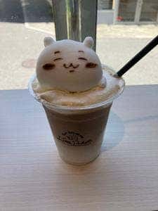 Latte Pocket