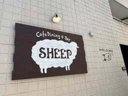 SHEEP