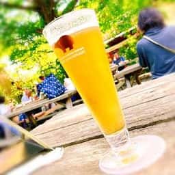 モキチ トラットリア