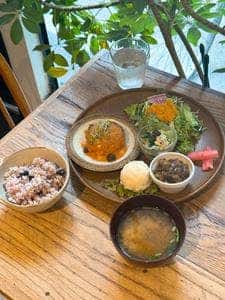 こもれび食堂