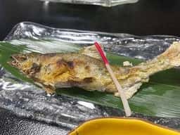 多留寿司