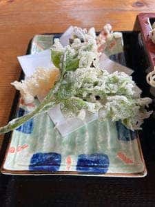 手打ちそば一庵。