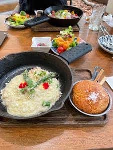 Farm to Table TERRA