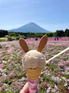 ピーターラビットカフェ 富士本栖リゾート