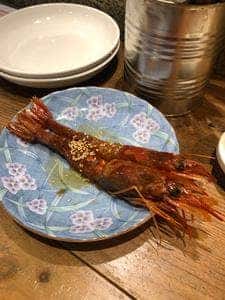 オリエンタル酒場 JILI
