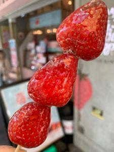 いちごBonBonBERRY ATAMI HOUSE