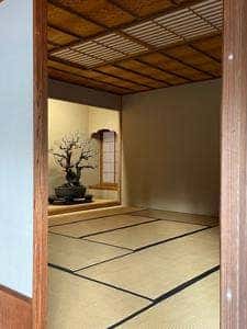 鳥和