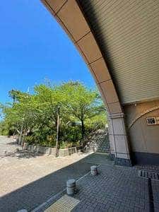 かんの川