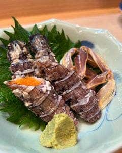 寿司居酒屋 悟寿司 あいたま