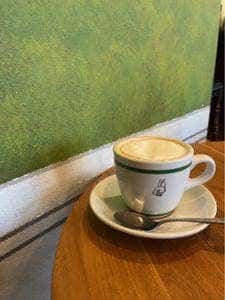カエルとアボカド