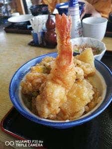 いなにわうどん