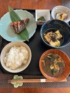 槐