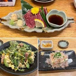鰓呼吸 石垣島美崎町店