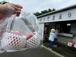 かつやま屋台 宮田