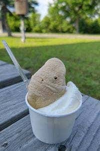 アイスキャロル