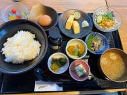 エキマエノ駱駝