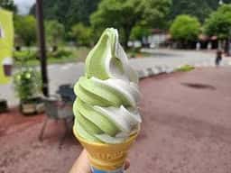 おにぎりの志鷹