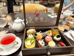 SCENERY/シーナリー