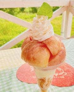 森のガーデン まるせい果樹園