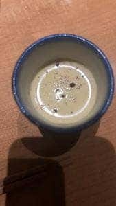羊乃助