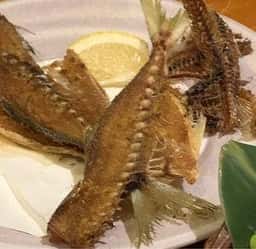 SAKANASAKABAゆいと 大井町