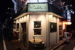 Cadota