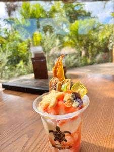 Blue Turtle Farm Mango Cafe