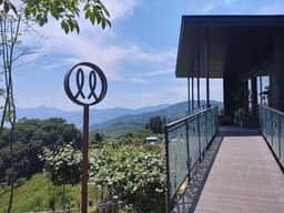 Rondinella