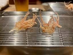 てんぷら山の上Roppongi