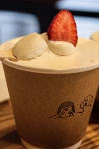 カシノキコーヒー