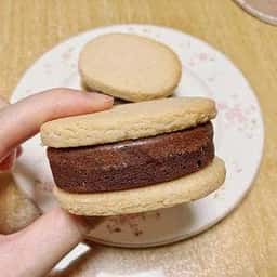 はれもけも