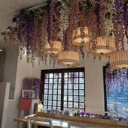 cafe cascade