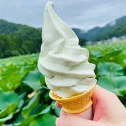 こう太郎のあいす屋さん