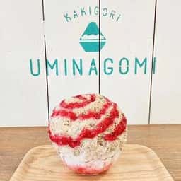 かき氷専門店 uminagomi