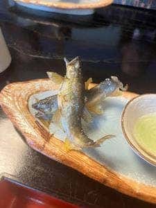 幸ずし