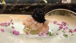 CAVIAR はるの