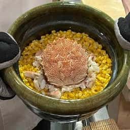 四ッ谷 みね村